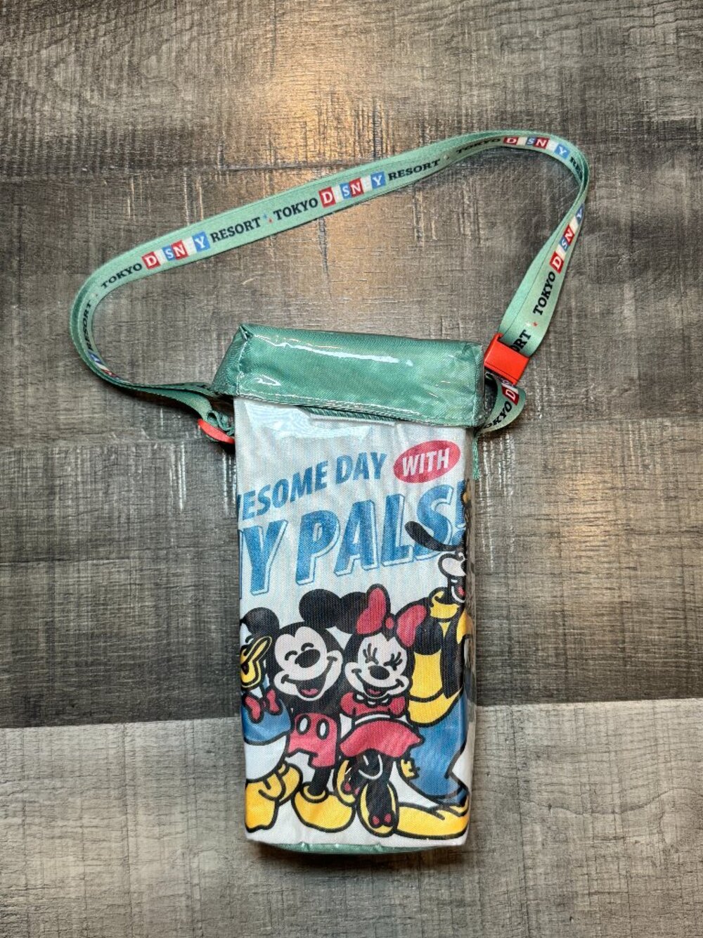 Tokyo Disneyland Resort Retro Popcorn Case Shoulder Bag My Pals